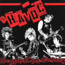 OUR REBELLION HAS JUST BEGUN album cover